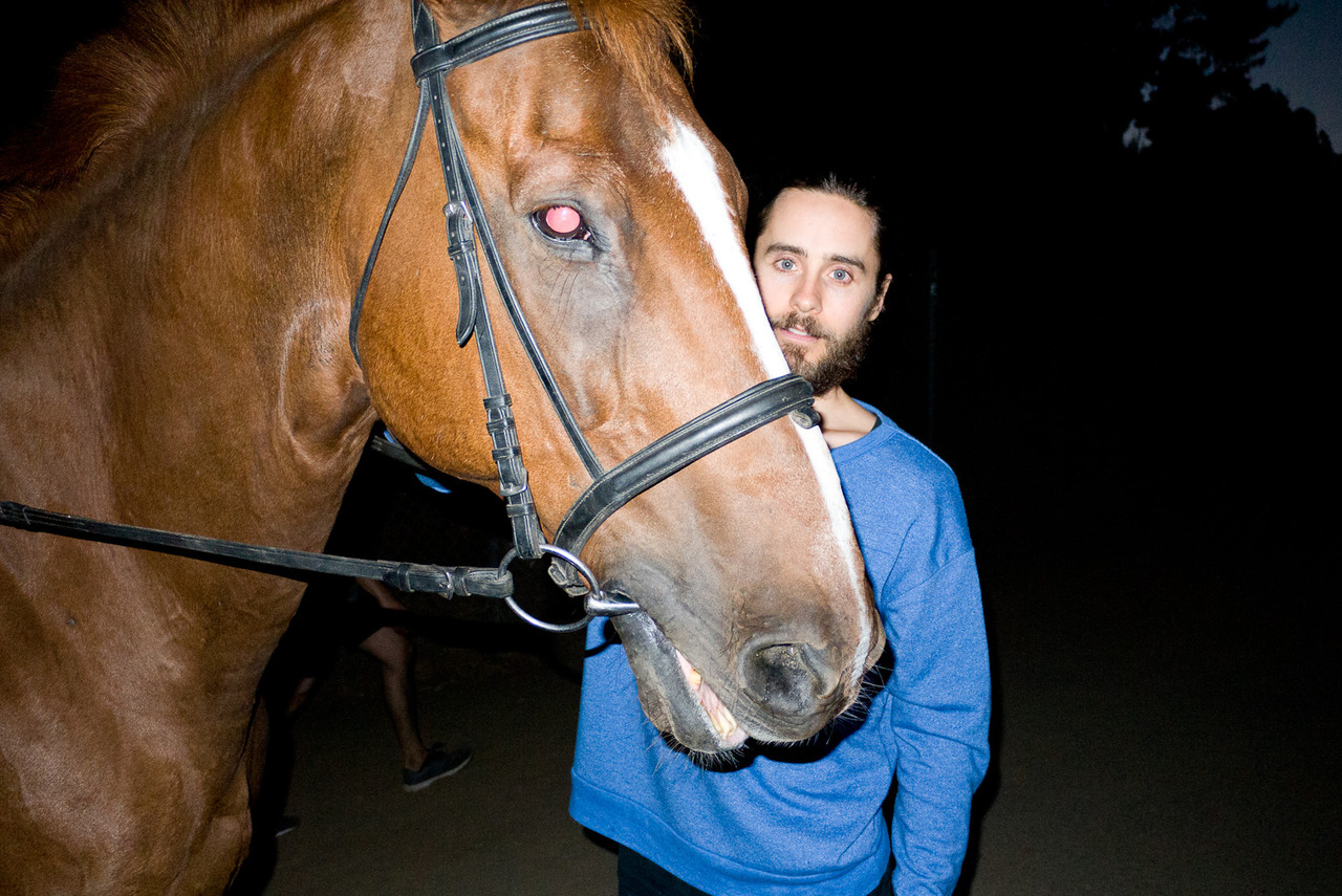 杰瑞德·约瑟夫·莱托