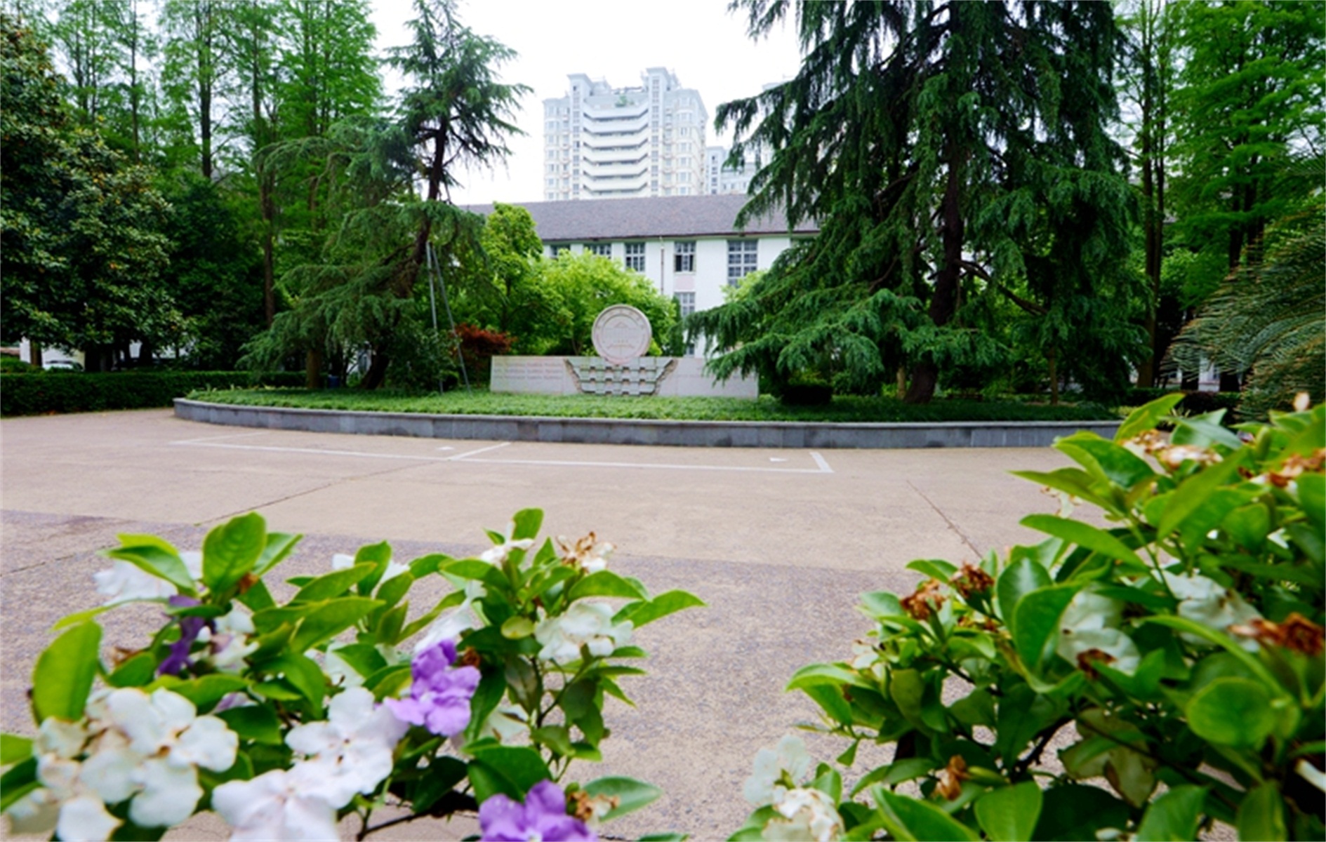 浙江外国语学院