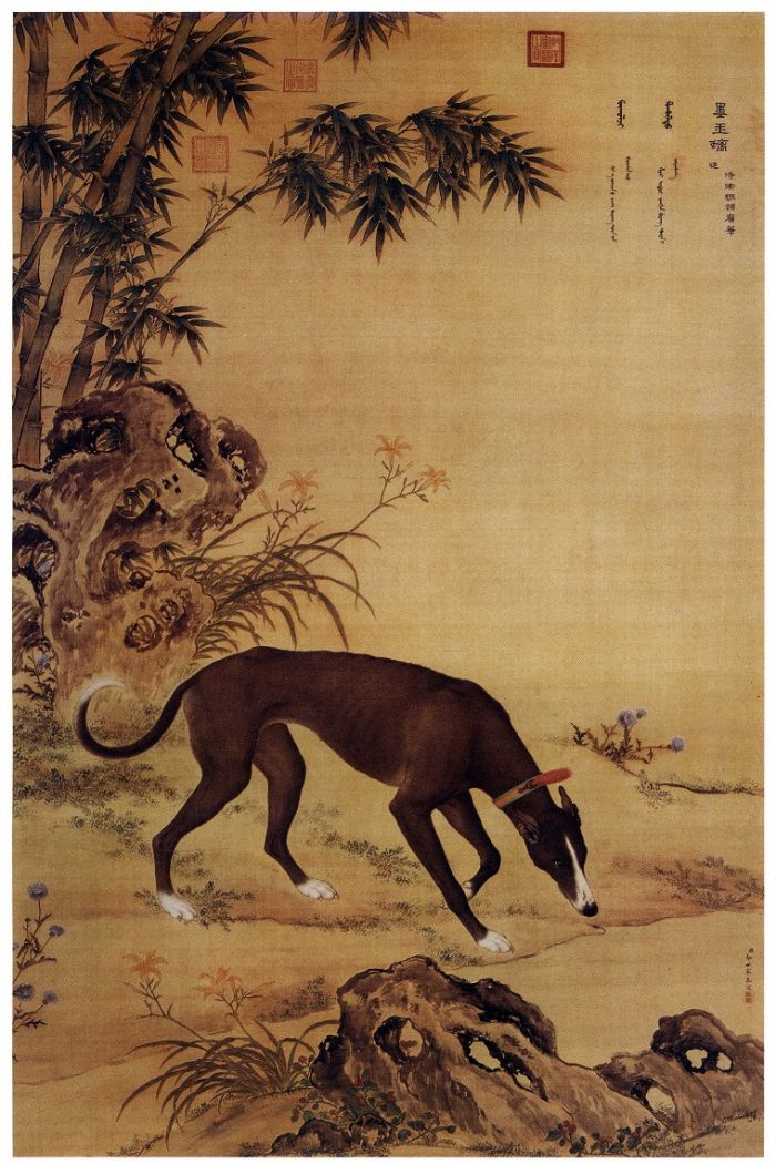 清朝的 宠物狗 在郎世宁笔下什么样 百科ta说