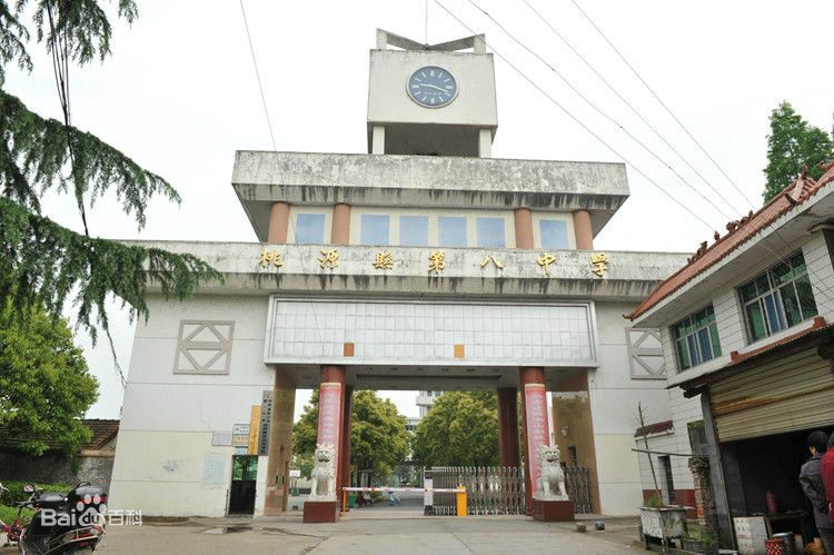 桃源县第八中学