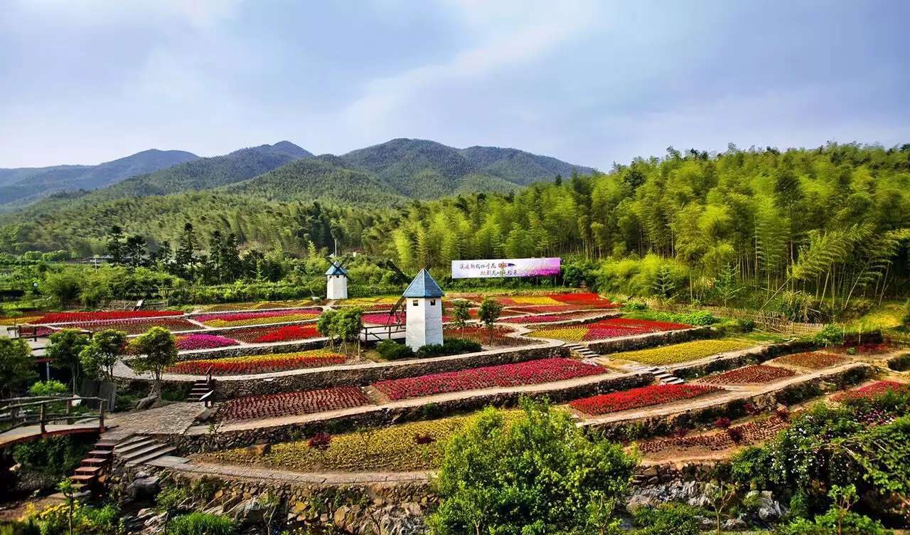 浙东大竹海
