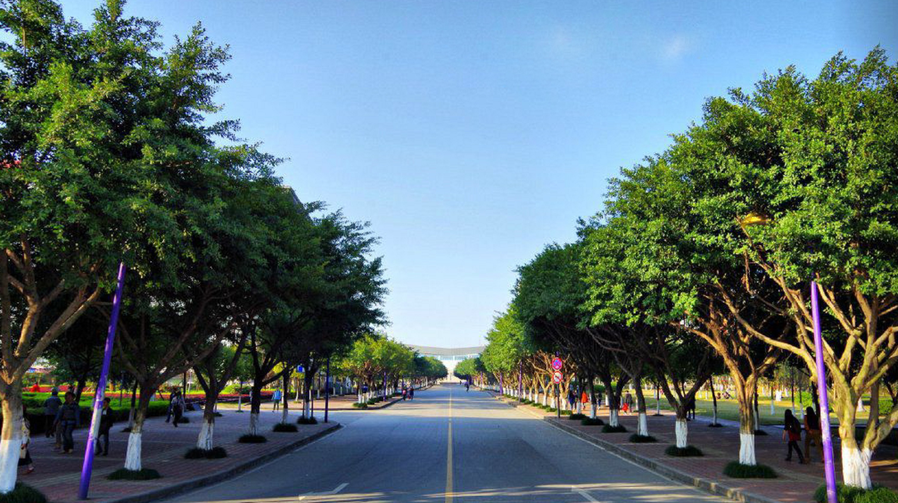  p>西南政法大学(southwest university of political science &amp