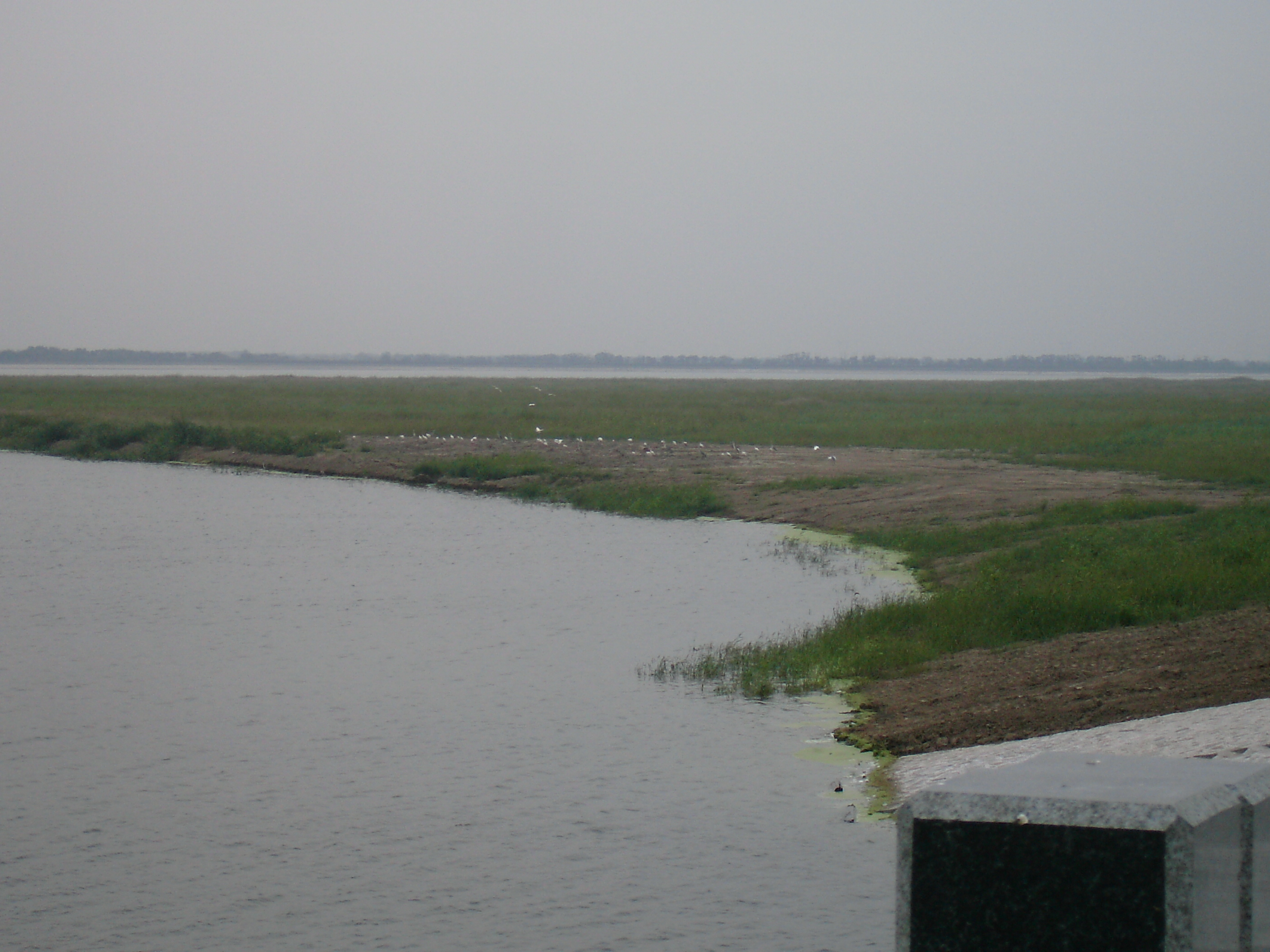大黄堡湿地保护区