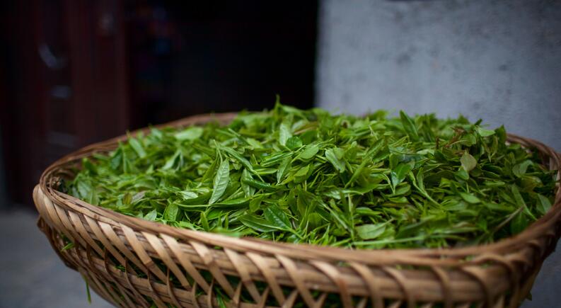  p data-id="gnwhomryn2">焕古茶出自紫阳县,也是 a target="_blank"