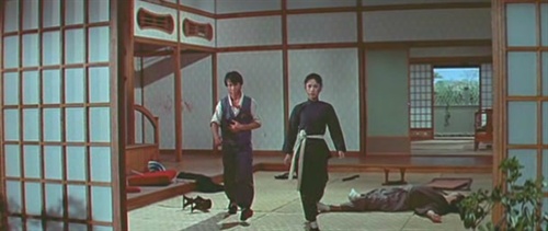 合气道hapkido(1972)