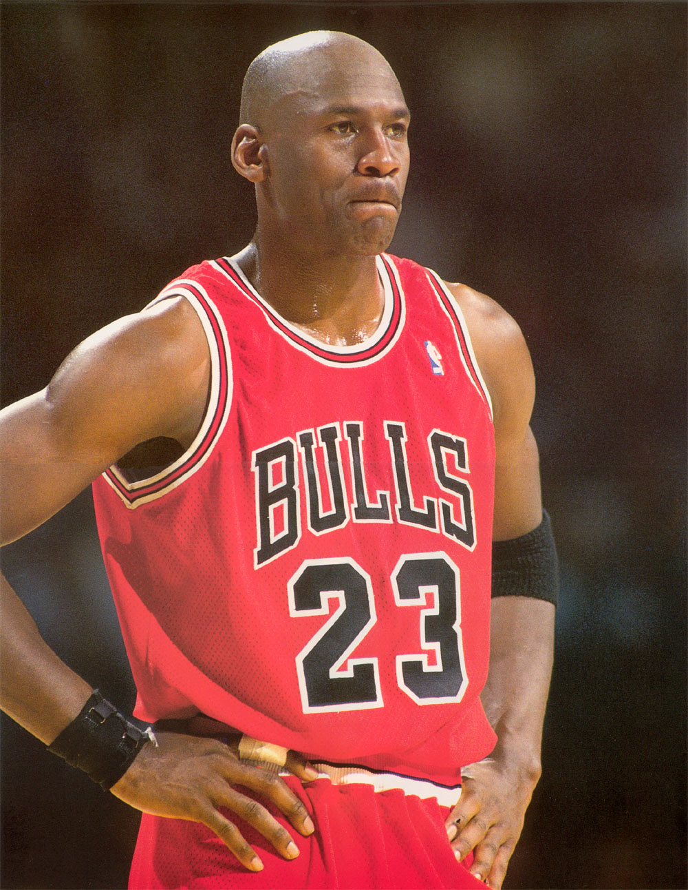 迈克尔乔丹michaeljordan