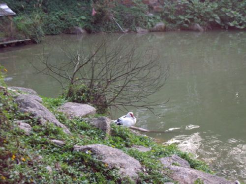 石排湾郊野公园