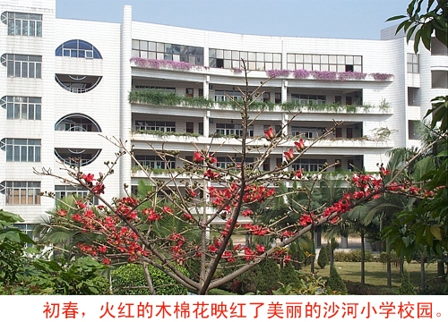 深圳市南山区沙河小学