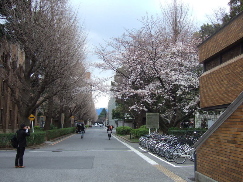 日本京都大学