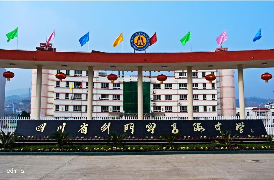  p>四川省剑门关高级中学(英文:sichuan jianmenguan high school)