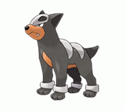  p>戴鲁比,是日本 a href="#">任天堂 /a>公司开发的一款掌机游戏《 a