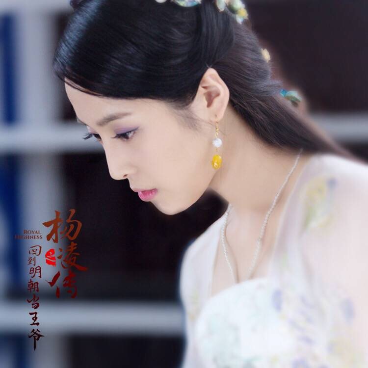 回到明朝当王爷之杨凌传