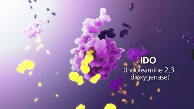突然蹿红，IDO抑制剂成免疫治疗巨头哄抢对象_百科TA说