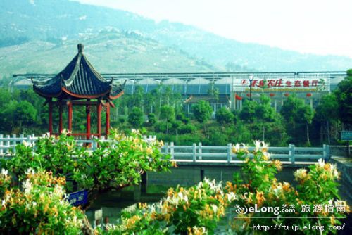 禾泉农庄位于 a target="_blank" href="/item/安徽省蚌埠市/9482602"