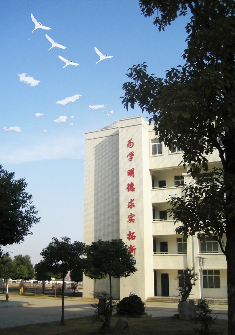 5 middle school shashi hubei /i>),简称沙市五中,是荆州市重点建设