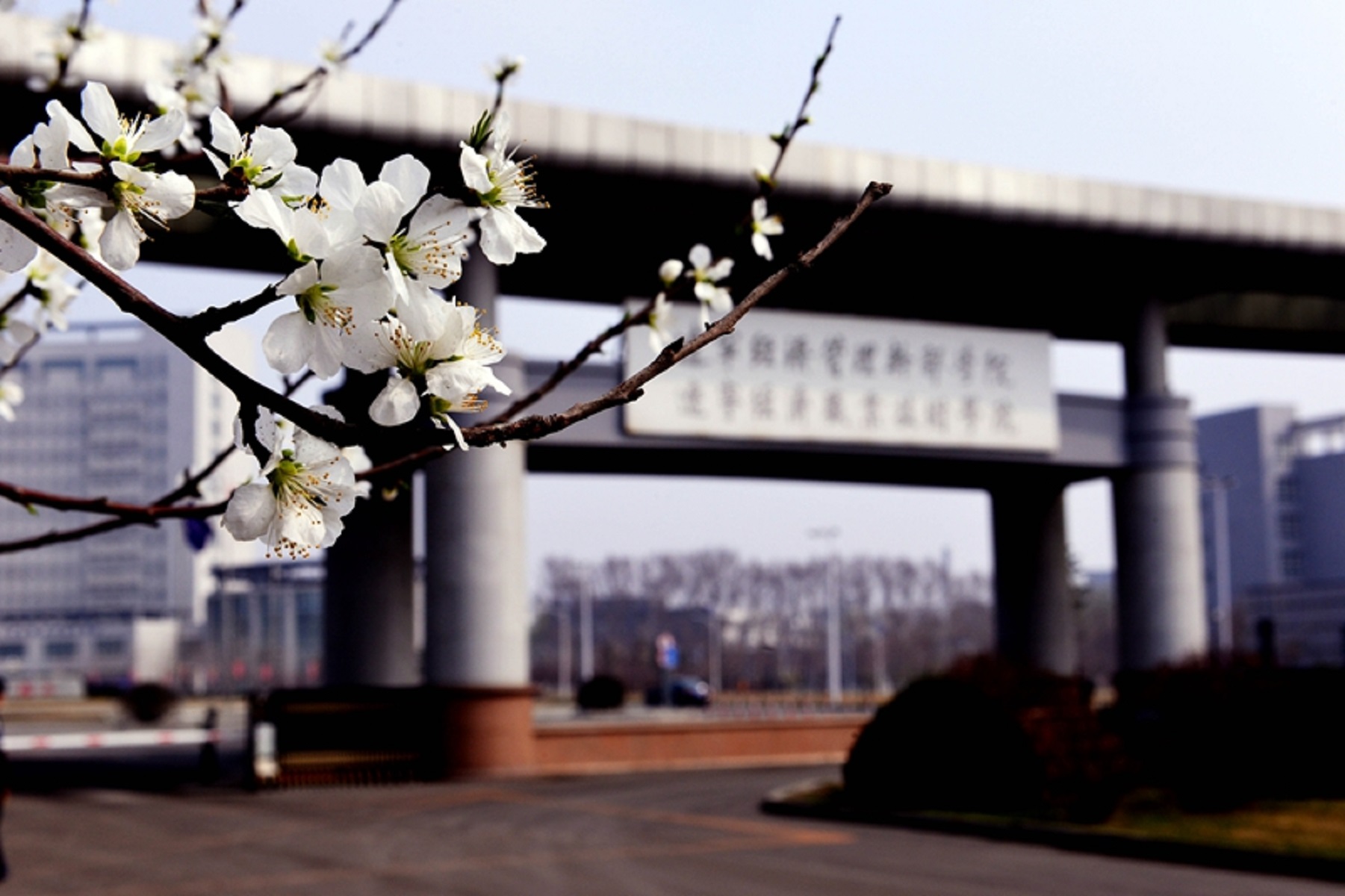 辽宁经济职业技术学院