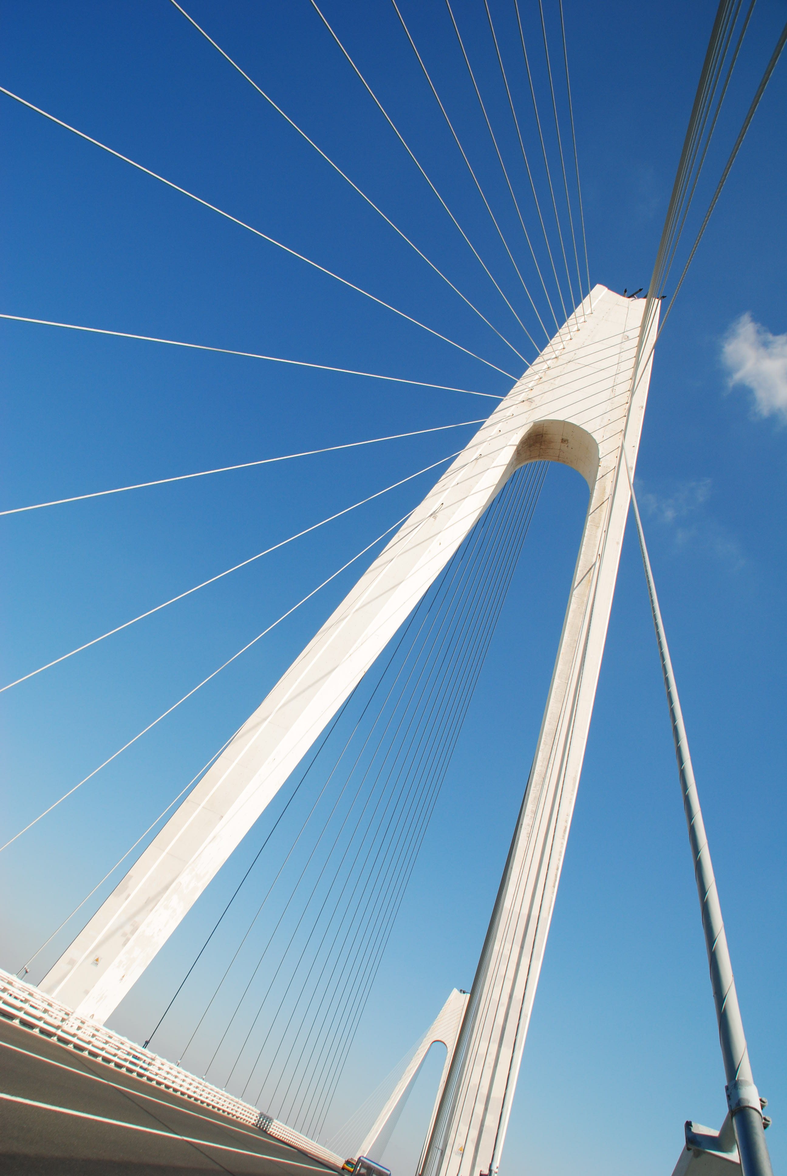 ="gnx2w66g2a"> a target="_blank" href="/item/辽河特大桥/8582268"