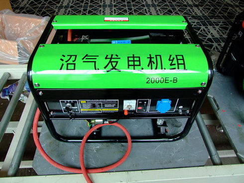 小型沼气发电机