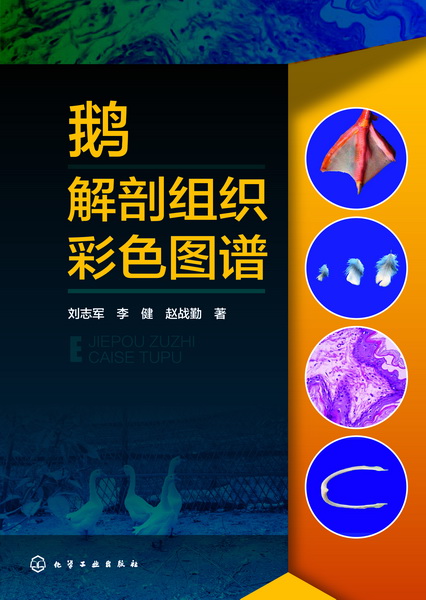 鹅解剖组织彩色图谱