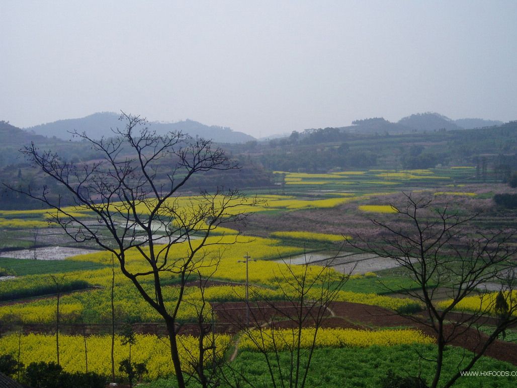 仙女湖