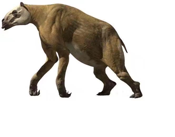  p>砂犷兽是爪兽科的一种动物.