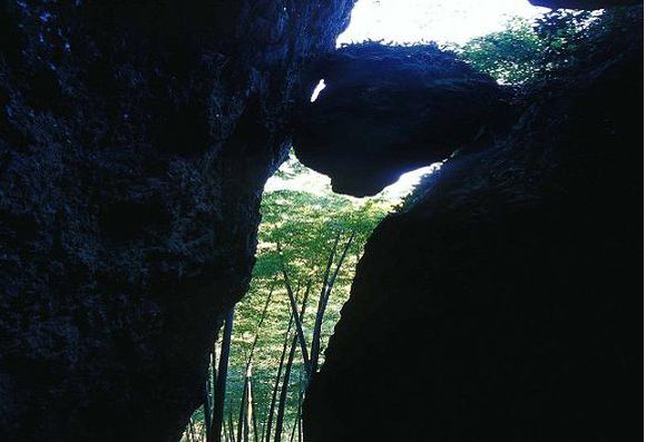 荫山洞