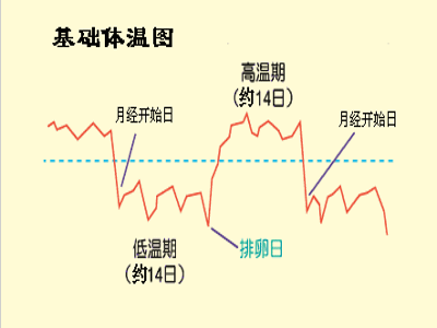 基础体温测定 百度百科