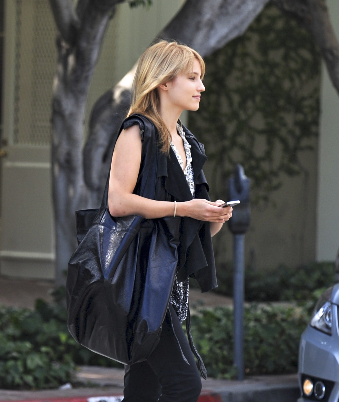 戴安娜·艾莉丝·安格伦