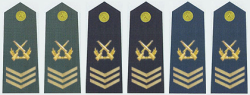 陆海空军二级军士长军衔肩章(2009—)
