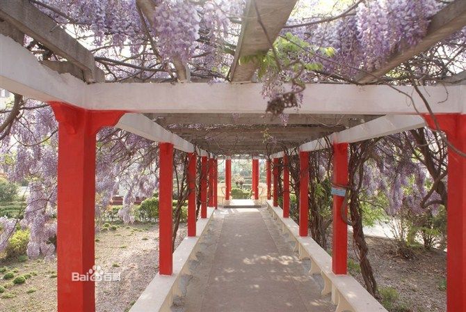 江苏白塔高级中学