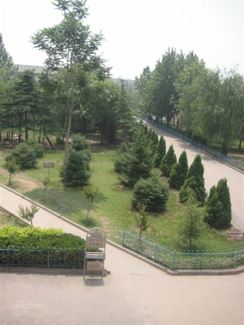 河津市第三中学