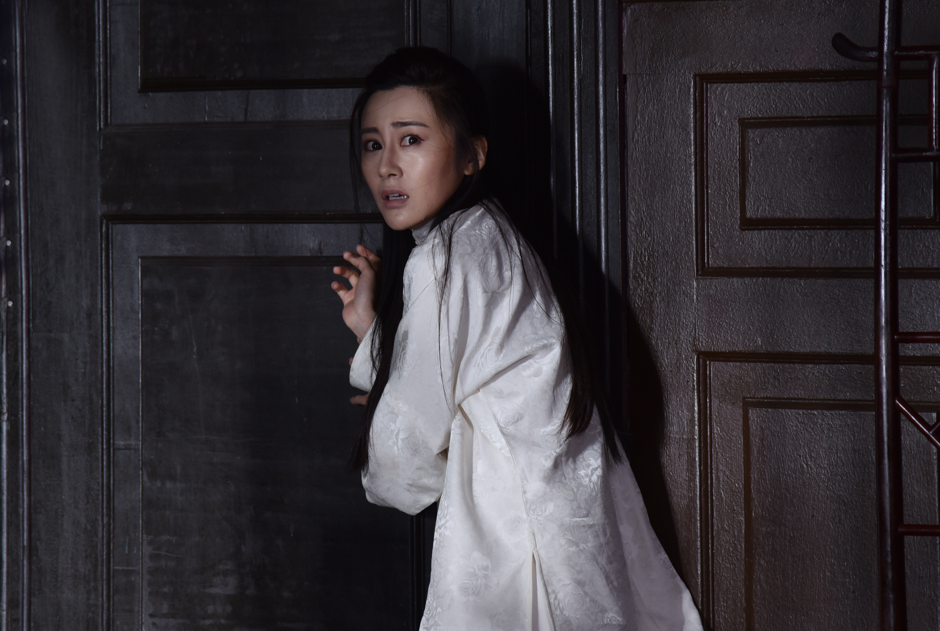 53号白公馆之双生姐魅花