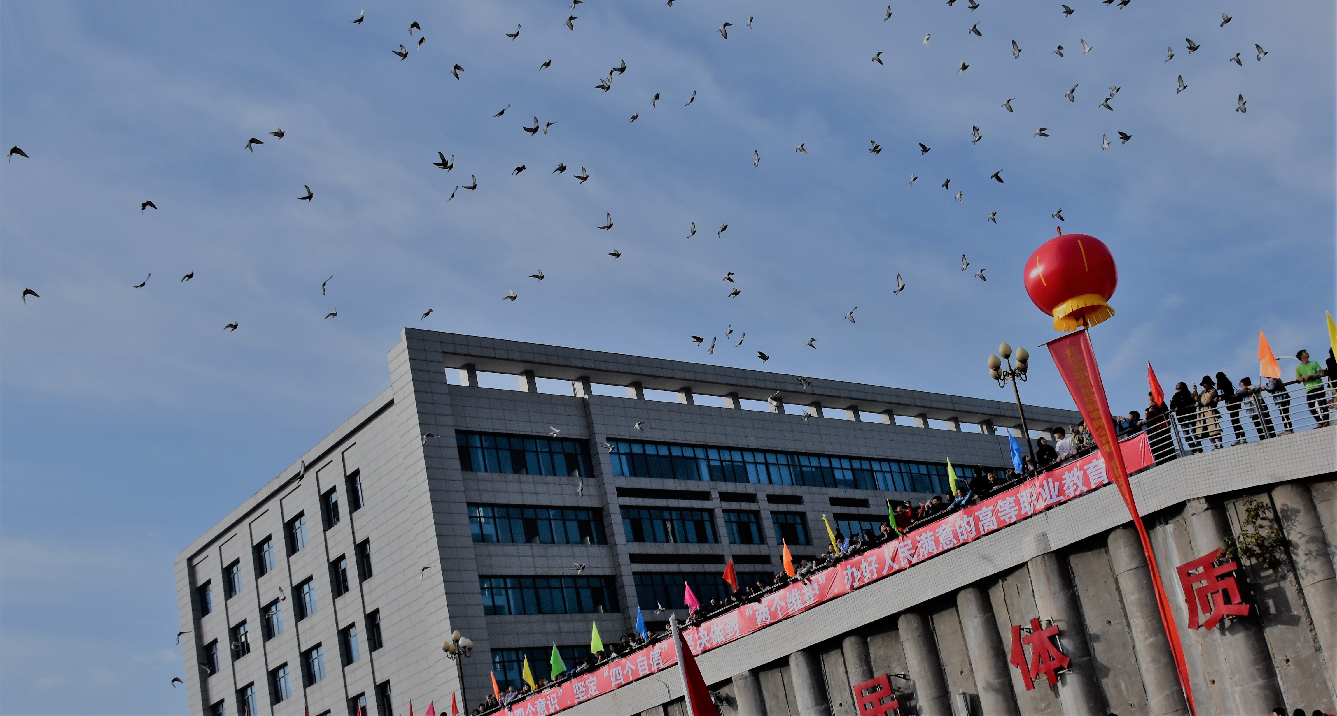  p>邵阳职业技术学院( a target="_blank" href="/item/shaoyang