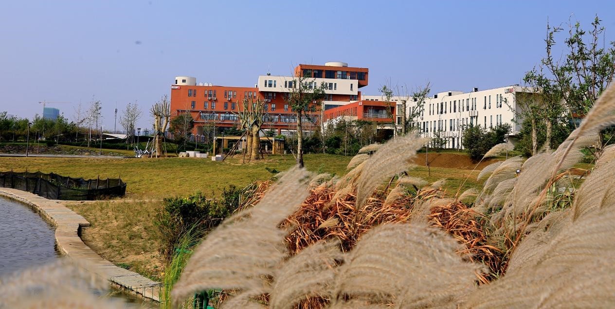 青岛电影学院