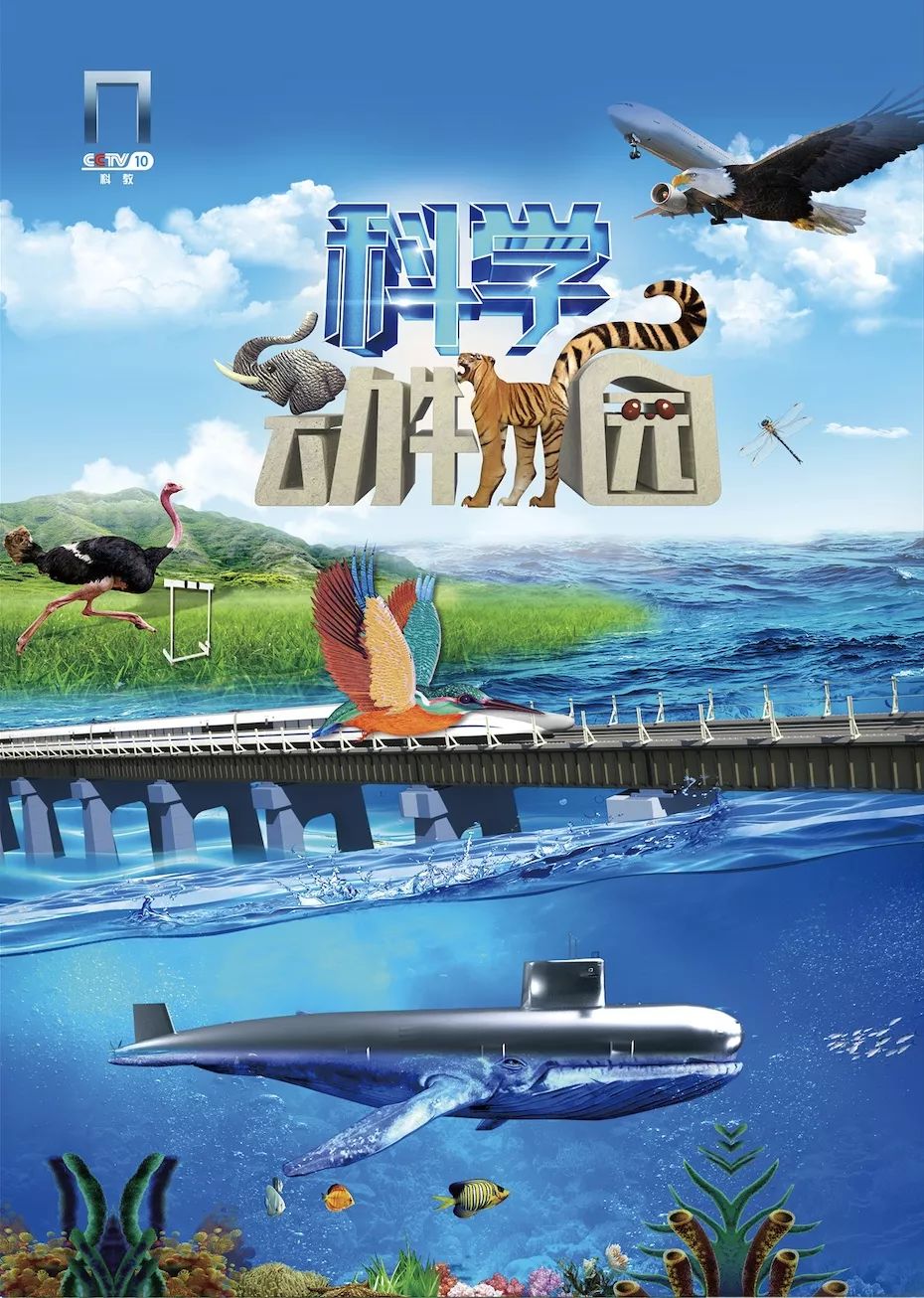  p>中央电视台科教频道(频道呼号:cctv-10,简称:央视科教频道或央视十