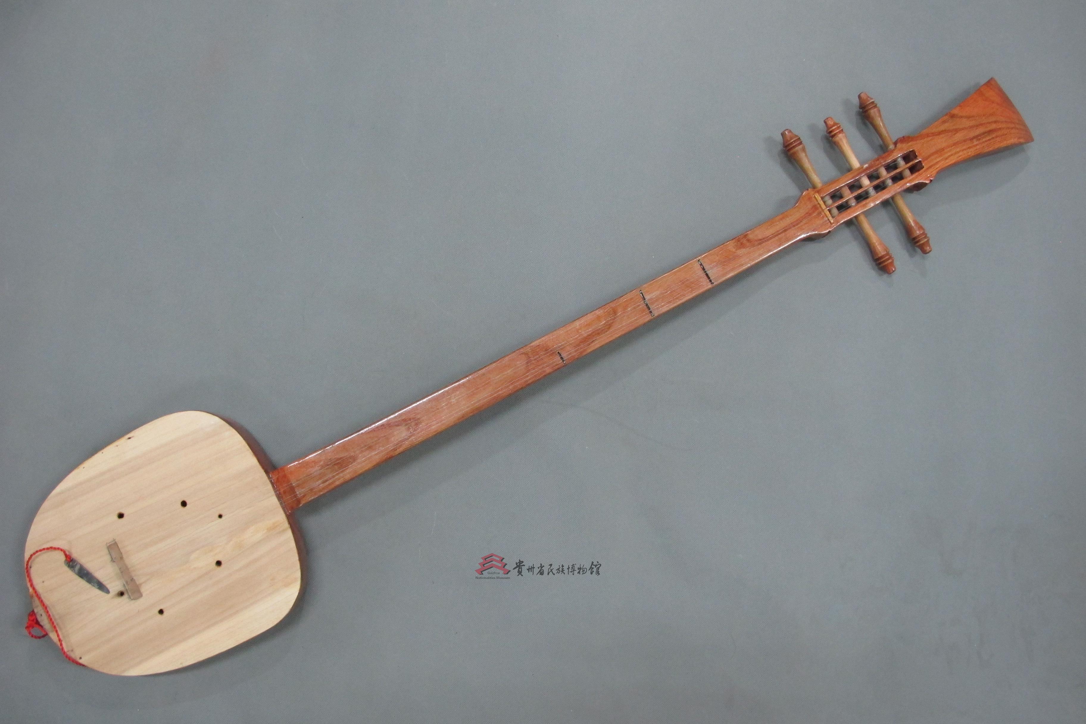 当代洪州侗族传统大琵琶