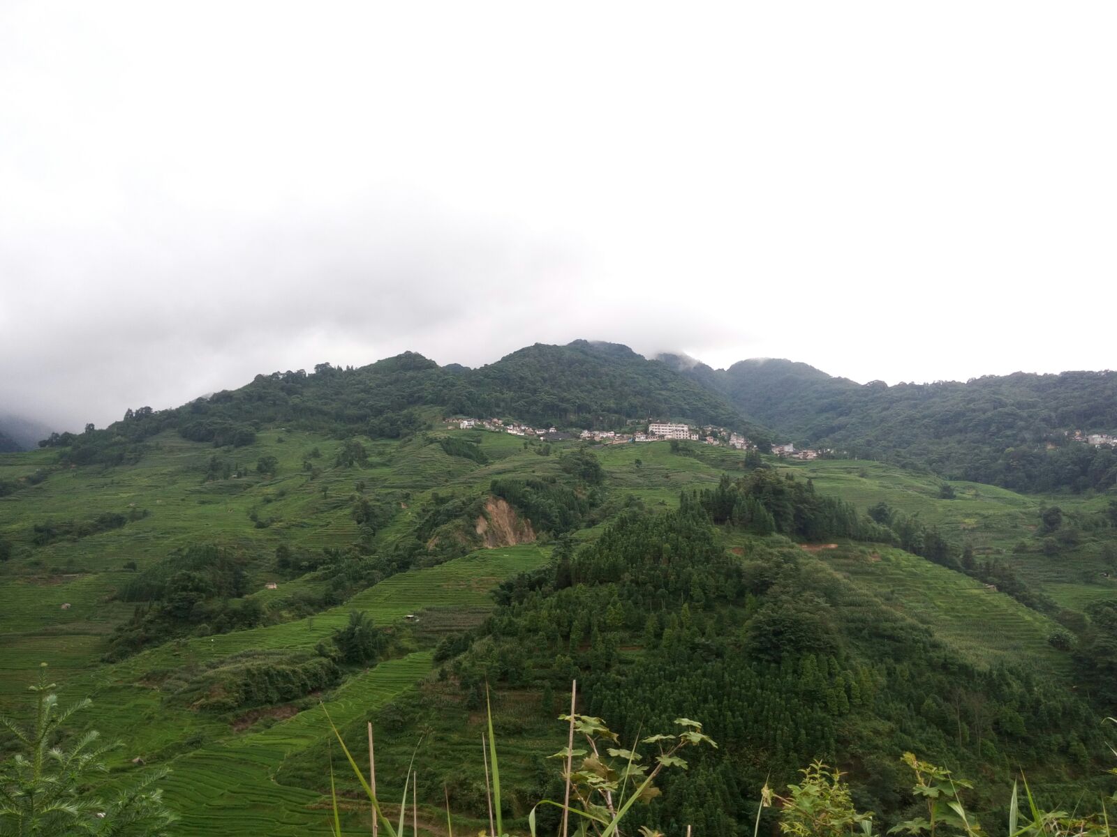  p>逢春岭乡,隶属于云南省红河哈尼族彝族自治州元阳县,地处 a target