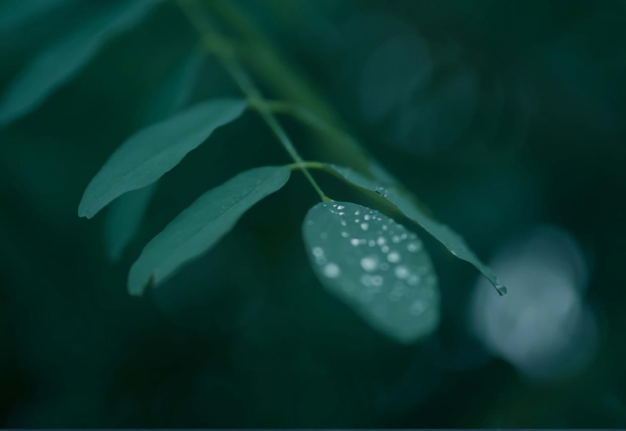 道德经》开篇：“道可道，非常道”，告诉我们生命真谛_百科TA说