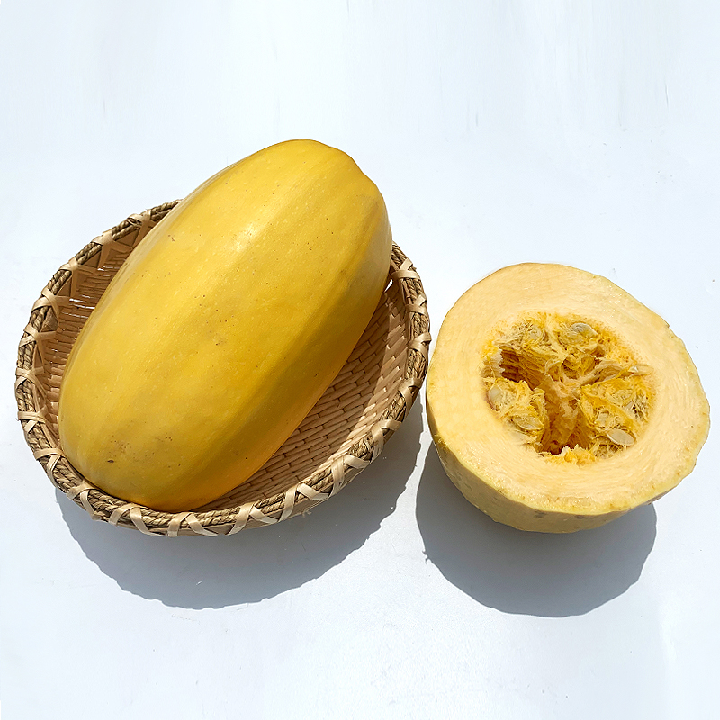  p data-id="go16a5aya9">金公主又名金丝瓜,搅丝瓜,金丝角瓜,四季美