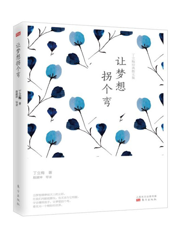 让梦想拐个弯(丁立梅经典散文集)