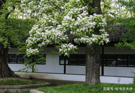 取名喜欢用的“梓”字，到底有什么文化内涵？_百科TA说
