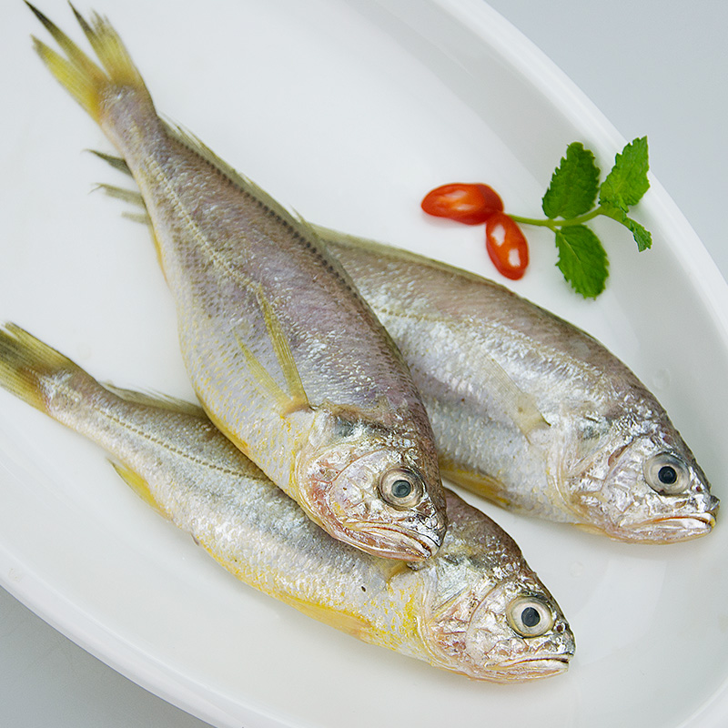 称为"素衣美人,美味仙子",定远池河镇至凤阳县梅市乡广段池河中的特产