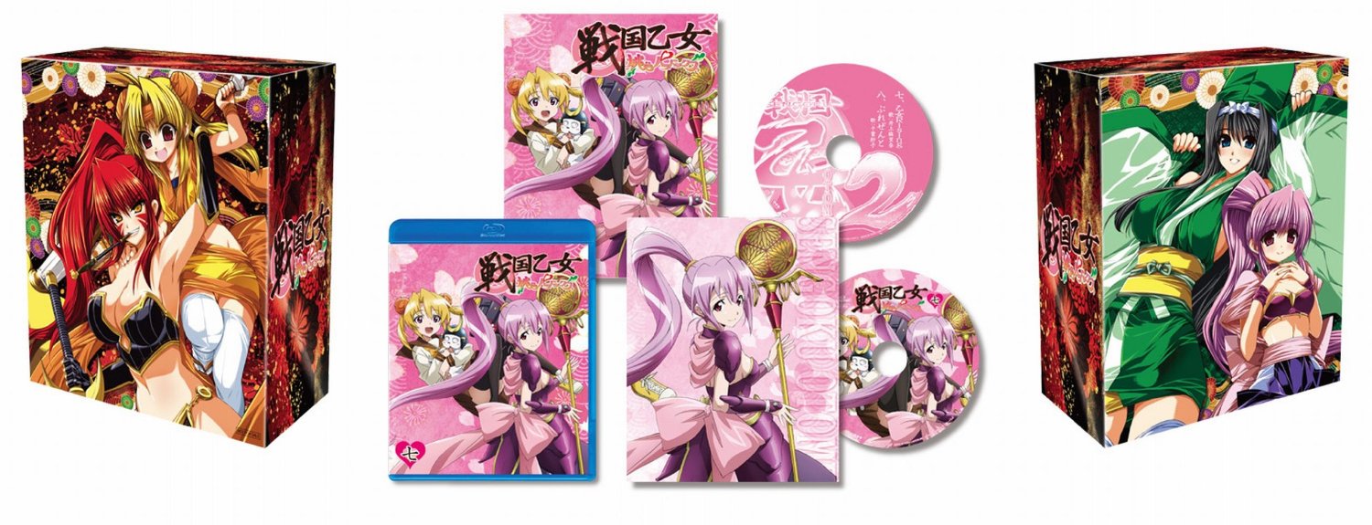 战国乙女～桃色paradox