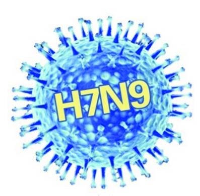 2016年h7n9型禽流感疫情