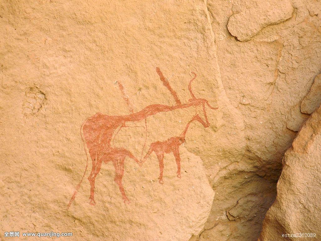 阿杰尔高原牛岩画