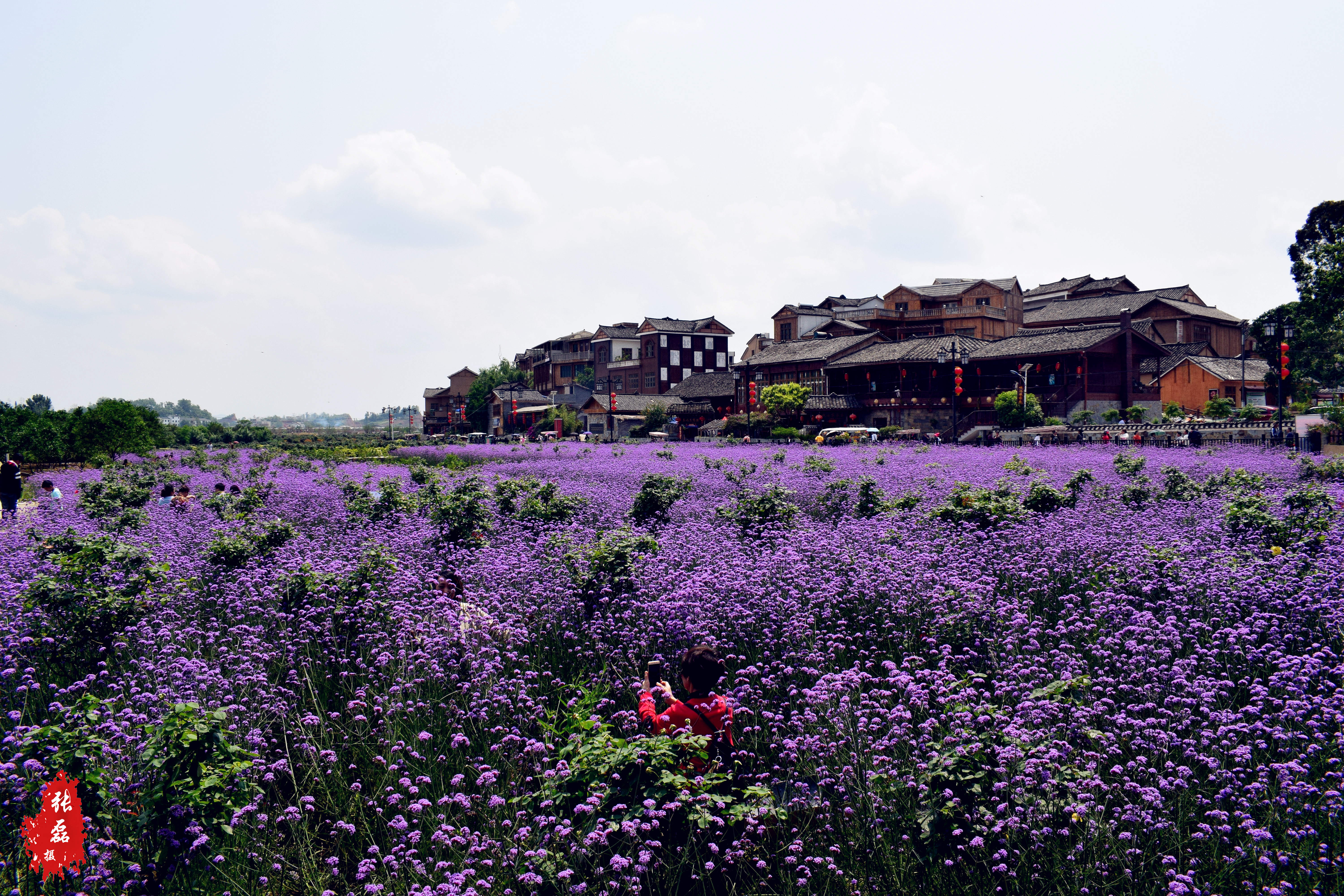 ezm">好花红乡村旅游区是国家aaaa级景区,位于贵州惠水县城南好花红镇