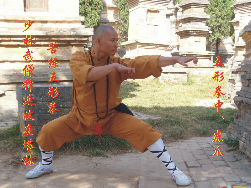  p>少林五形拳(又称"少林五行 a target="_blank" href="/item/八法拳