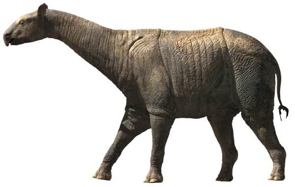 巨犀(indricotherium)