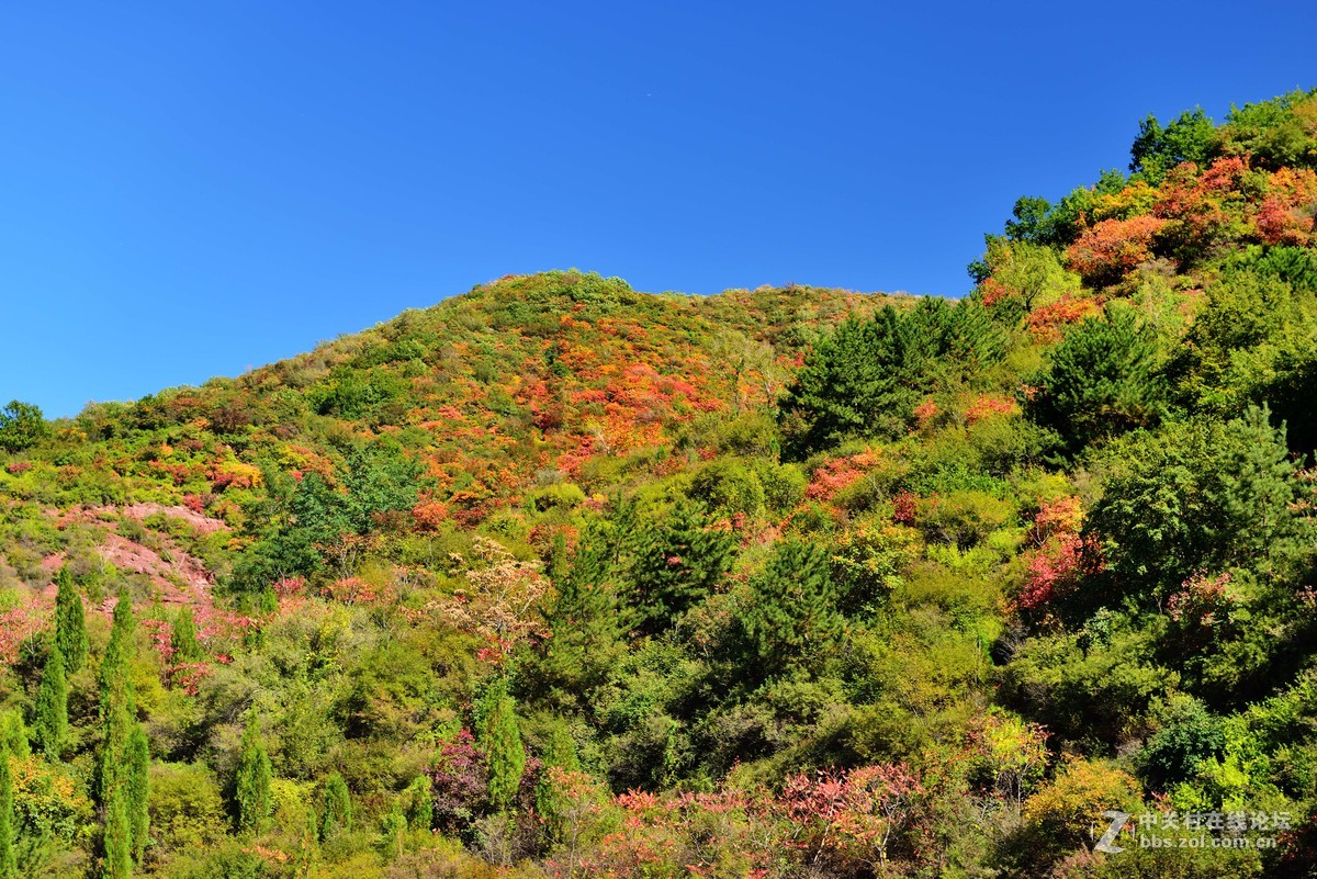翠枫山自然风景区地处 a href="#" data-lemmaid="8988539">阳泉郊区 