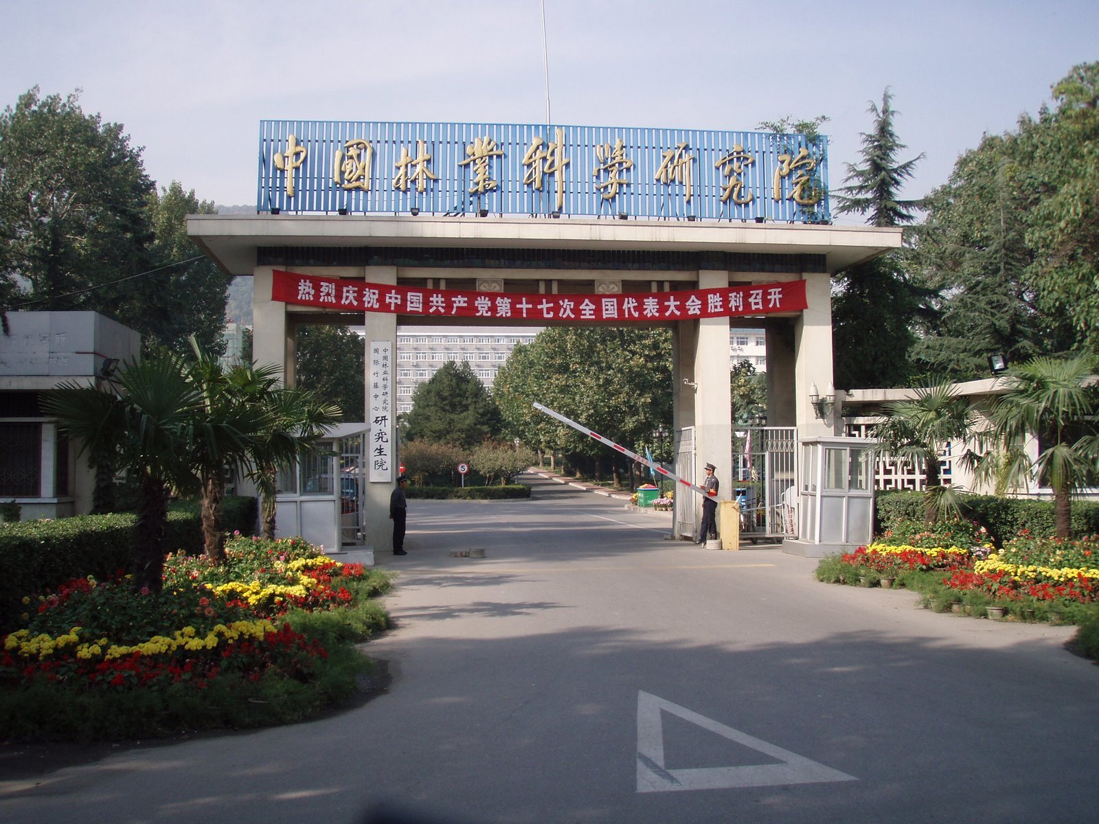 中国科学院林业科学研究院